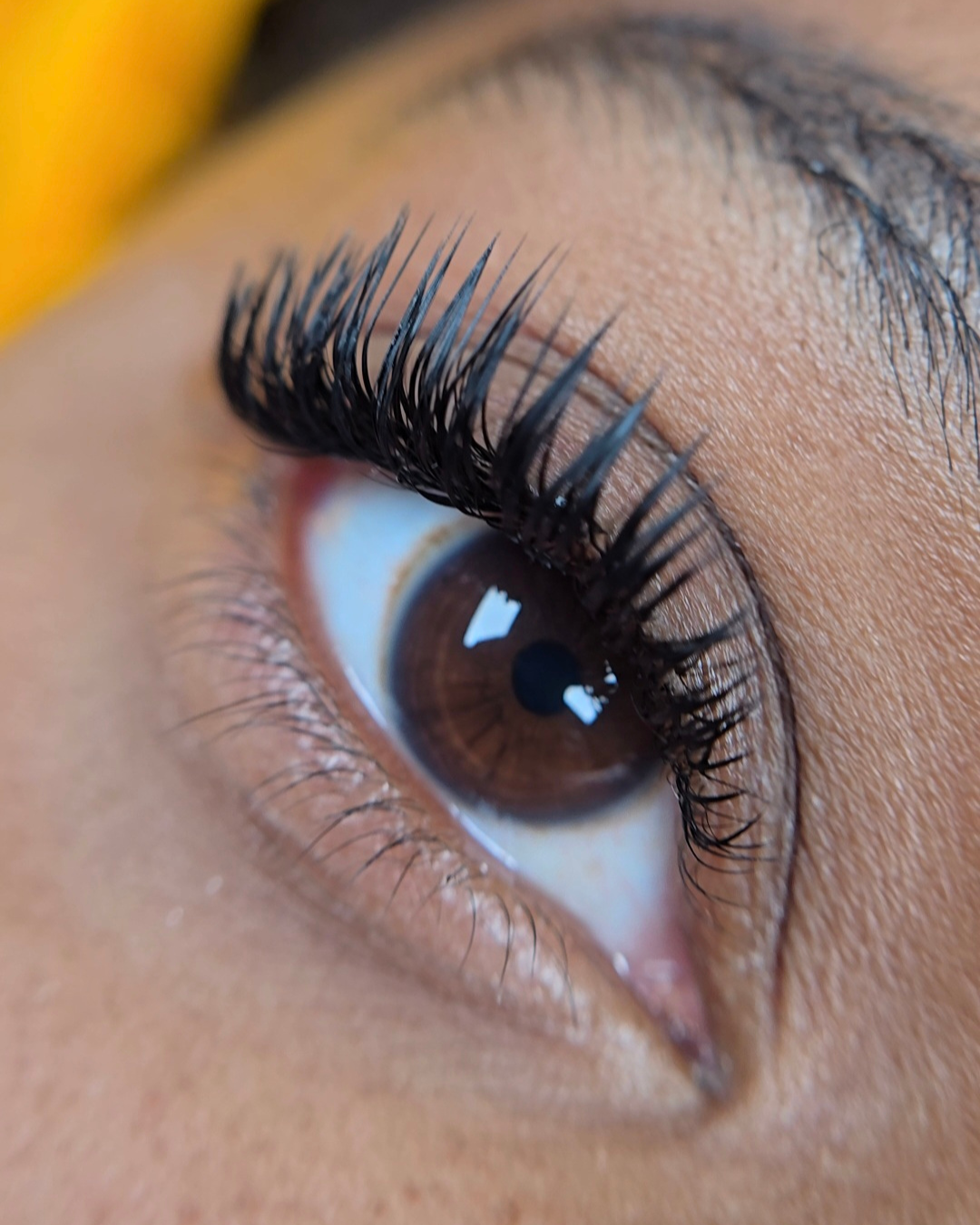 Wet set lash extensions close-up showing boldness on brown eyes